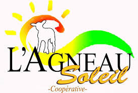 l'agneau du soleil